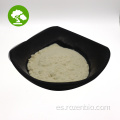 Polvo de la proteína de arroz orgánico soluble en agua